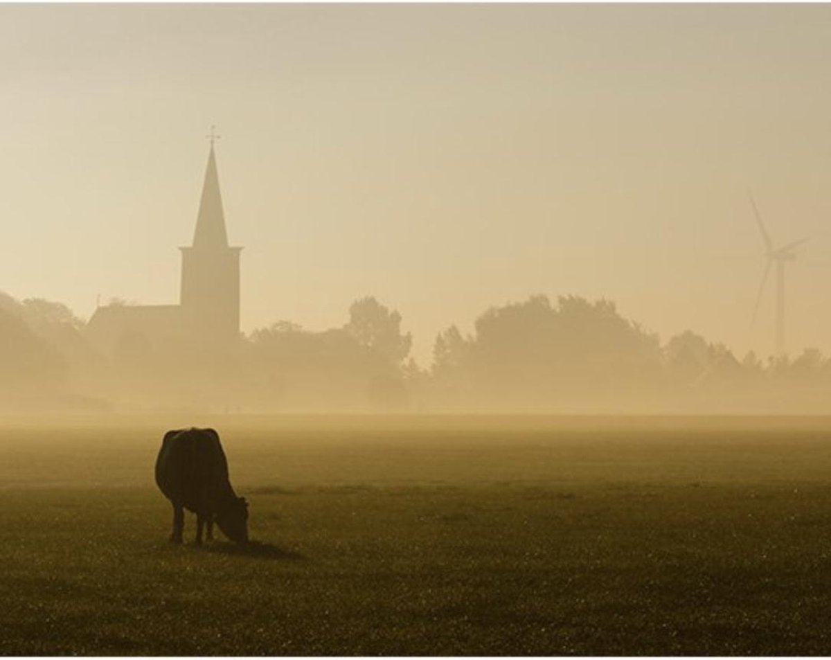 Schilderenopnummers.com® | Schilderen op nummer volwassenen| Burgwerd in de mist | Paint by numbers | Special edition